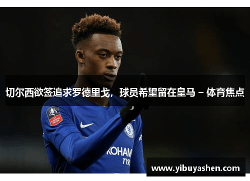 切尔西欲签追求罗德里戈,球员希望留在皇马 – 体育焦点